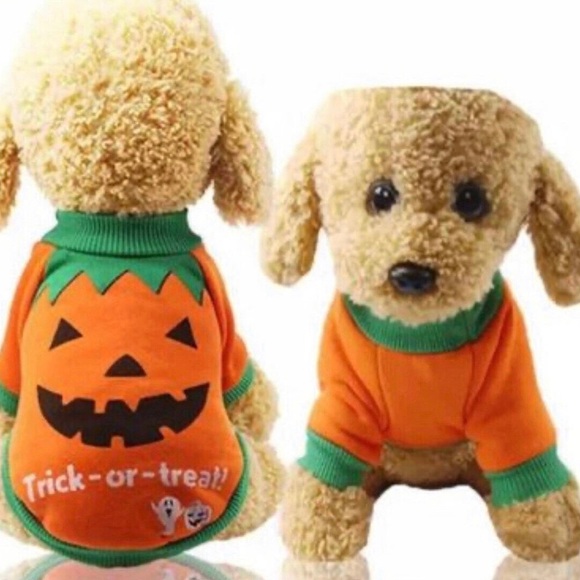 Other - Halloween dog costume, new
